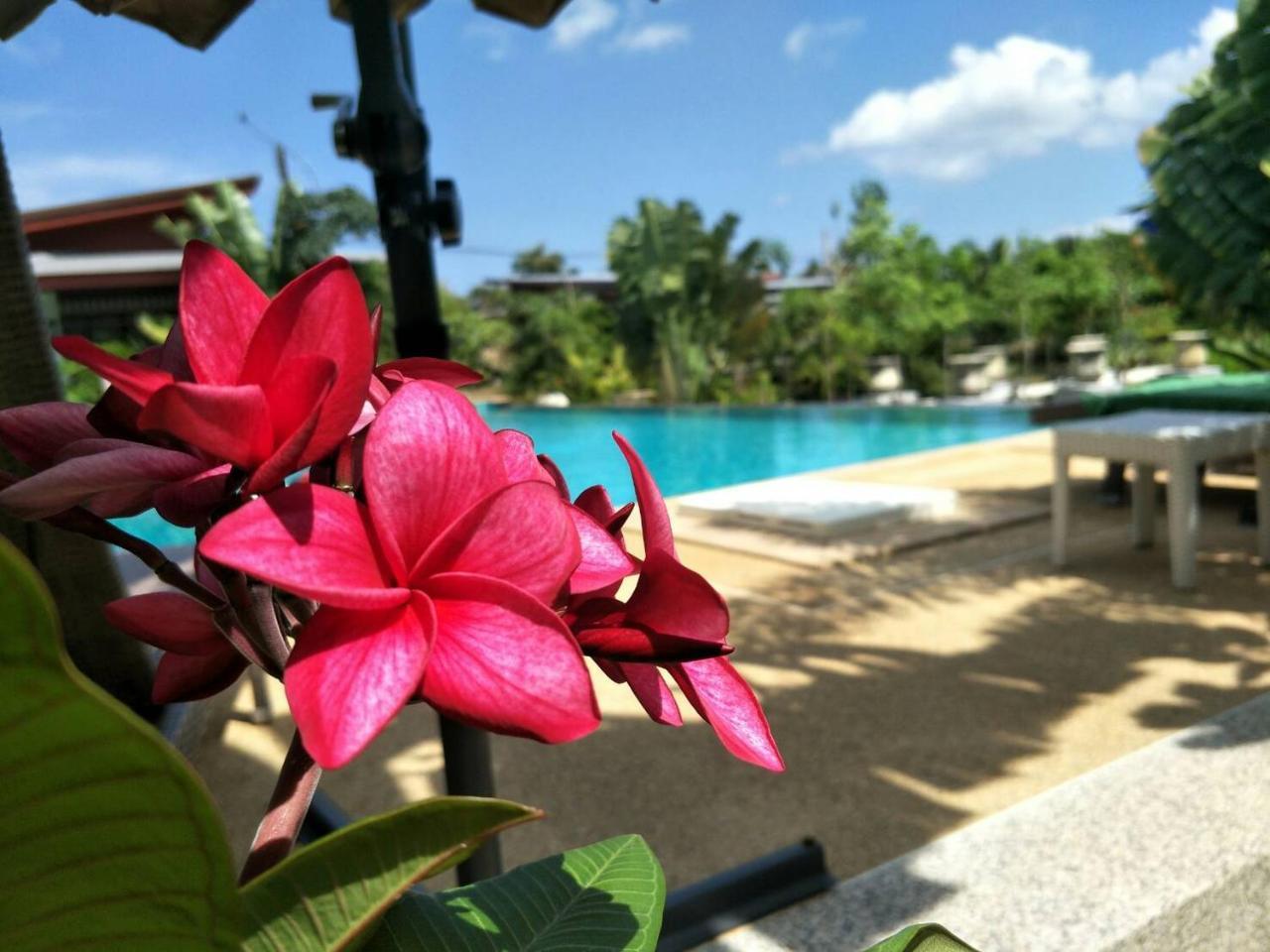 Arthaya Villas - Sha Extra Plus Ko Lanta Exteriör bild